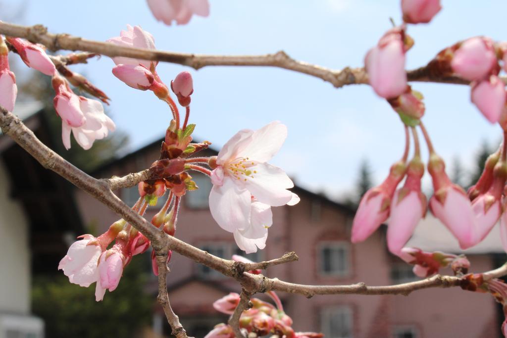 Pension Candytuft คารุอิซาว่า ภายนอก รูปภาพ