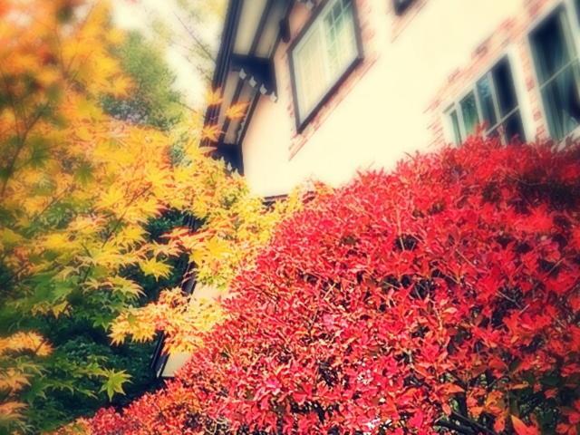 Pension Candytuft คารุอิซาว่า ภายนอก รูปภาพ