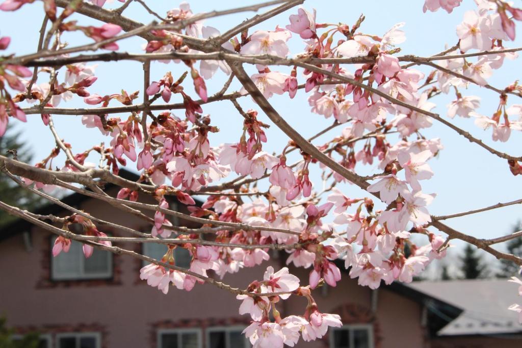 Pension Candytuft คารุอิซาว่า ภายนอก รูปภาพ