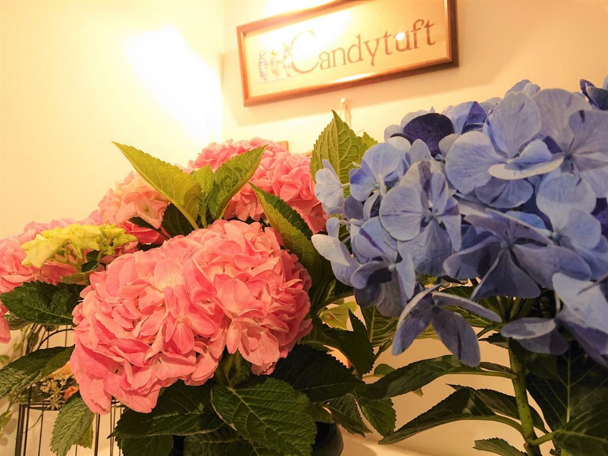 Pension Candytuft คารุอิซาว่า ภายนอก รูปภาพ
