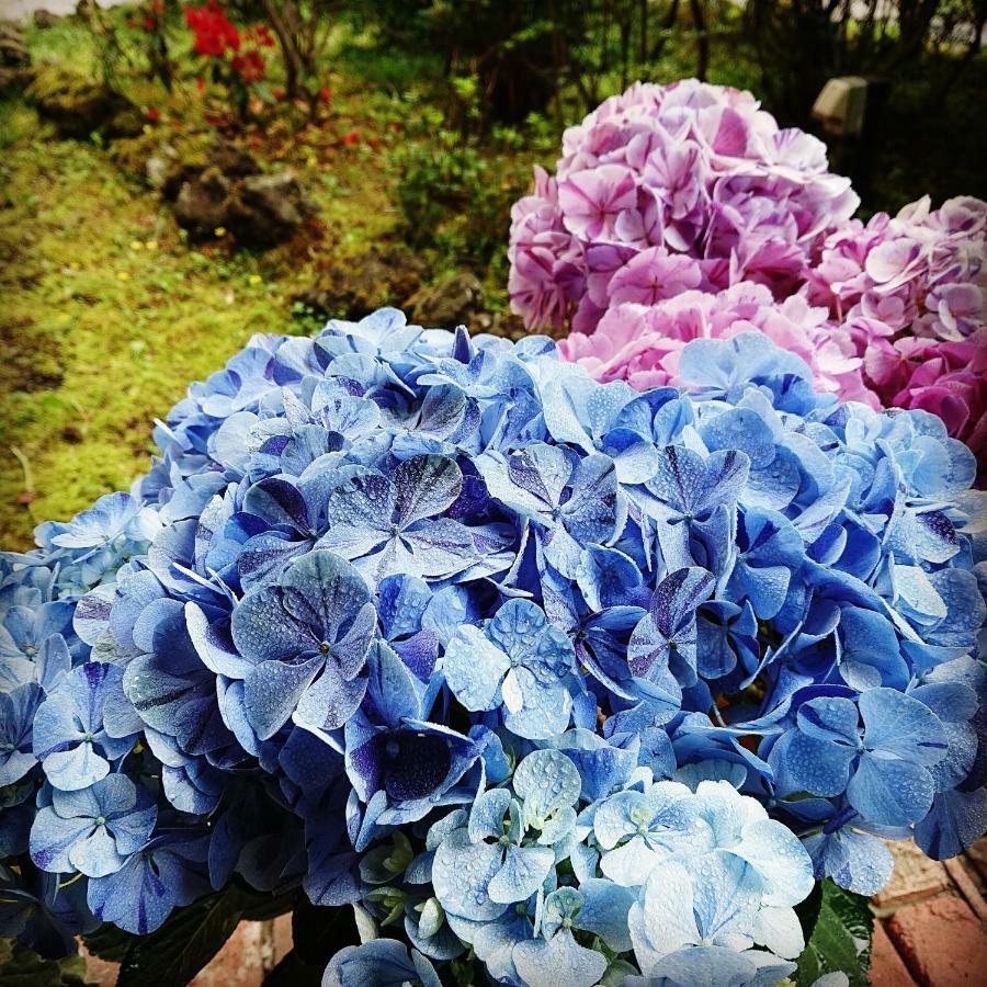Pension Candytuft คารุอิซาว่า ภายนอก รูปภาพ